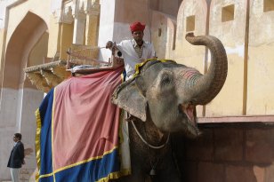 Rajasthan_1 · © Dr. Heike Seitz